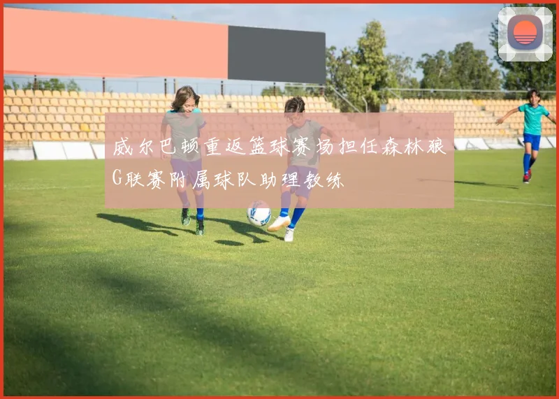 威尔巴顿重返篮球赛场担任森林狼G联赛附属球队助理教练