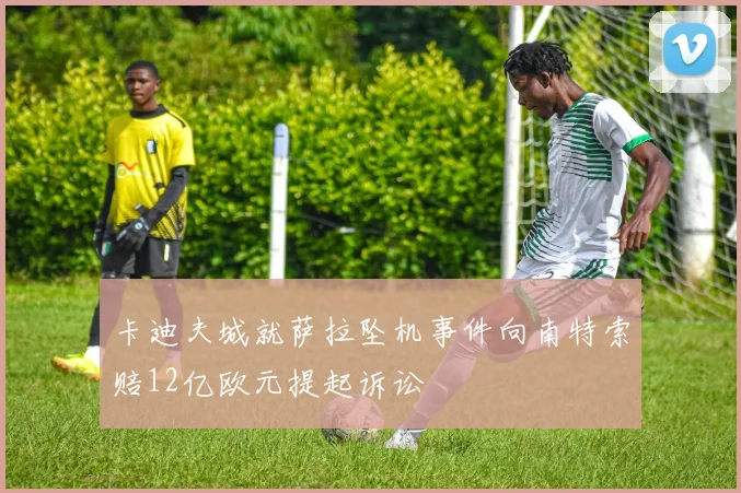 卡迪夫城就萨拉坠机事件向南特索赔12亿欧元提起诉讼